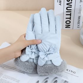 Warm Gloves Winter Women's Touch Screen Fleece-lined Thickened (Option: Fur Mouth Rabbit Gray Blue)