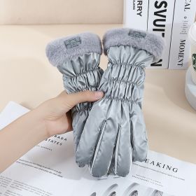 Warm Gloves Winter Women's Touch Screen Fleece-lined Thickened (Option: Fur Mouth Bear Gray)